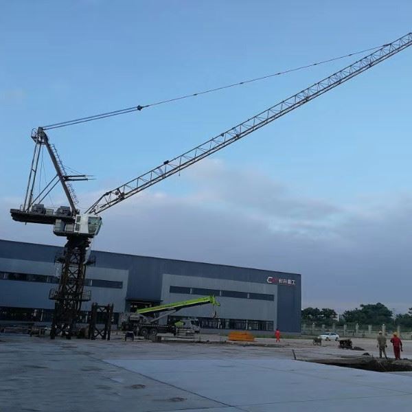 Luffing tower crane QTD5020 bought by Philippines customer_1