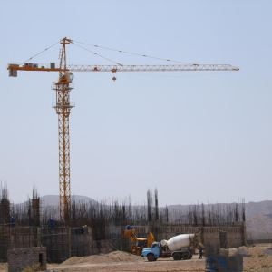 5015 Tower Crane